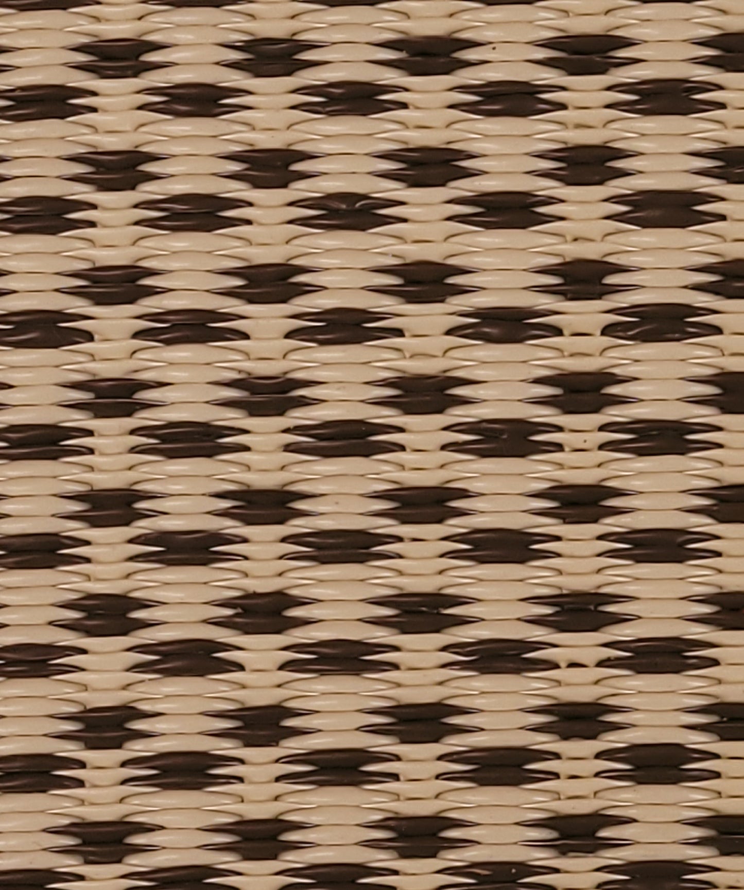 Basic Cream & Brown