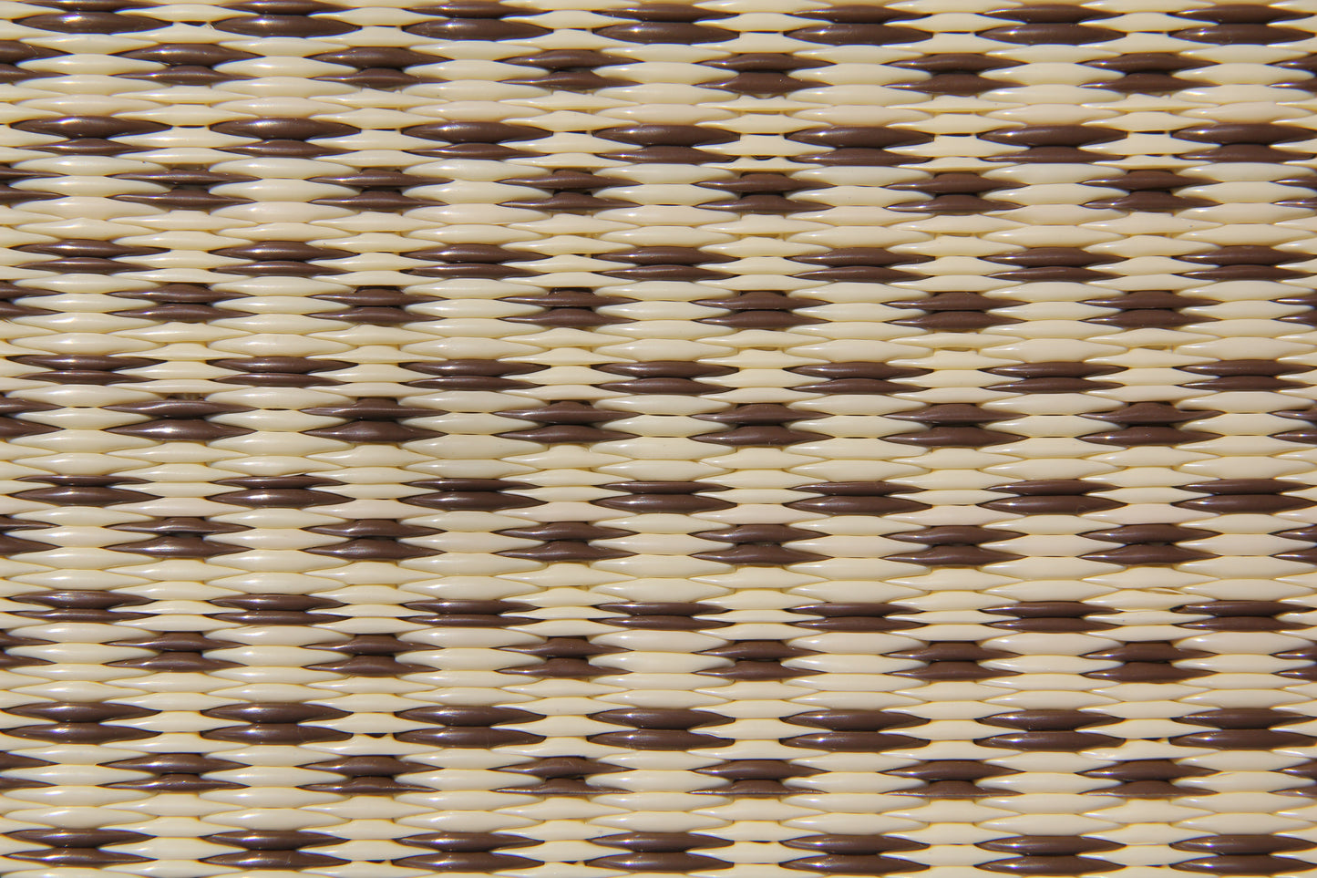 Basic Cream & Brown