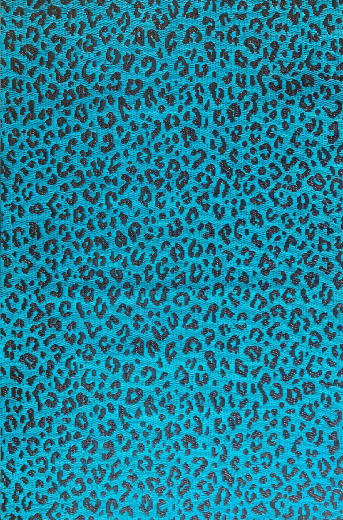 Leopard Turquoise Outdoor Mat