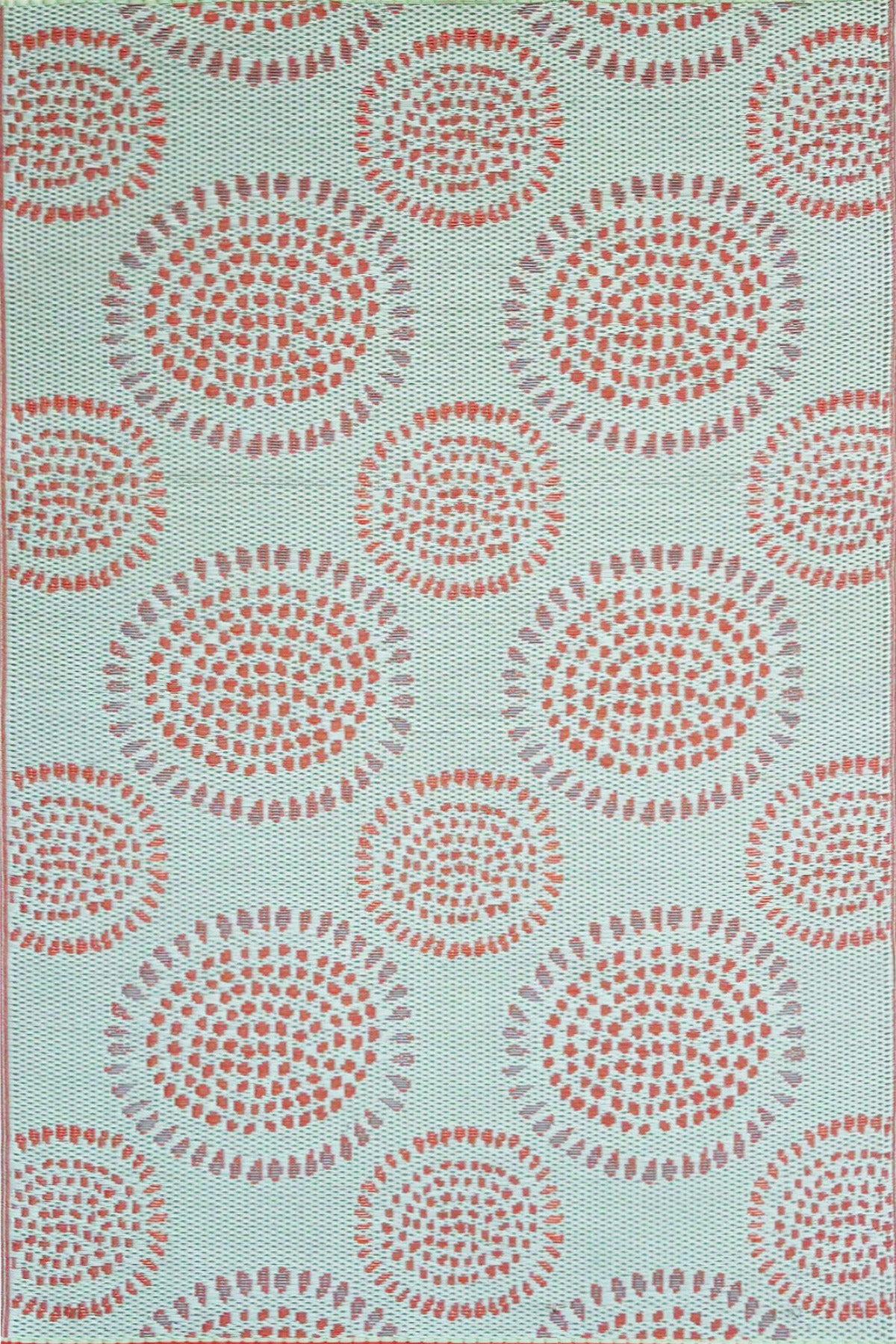 Molly Salmon Ginko