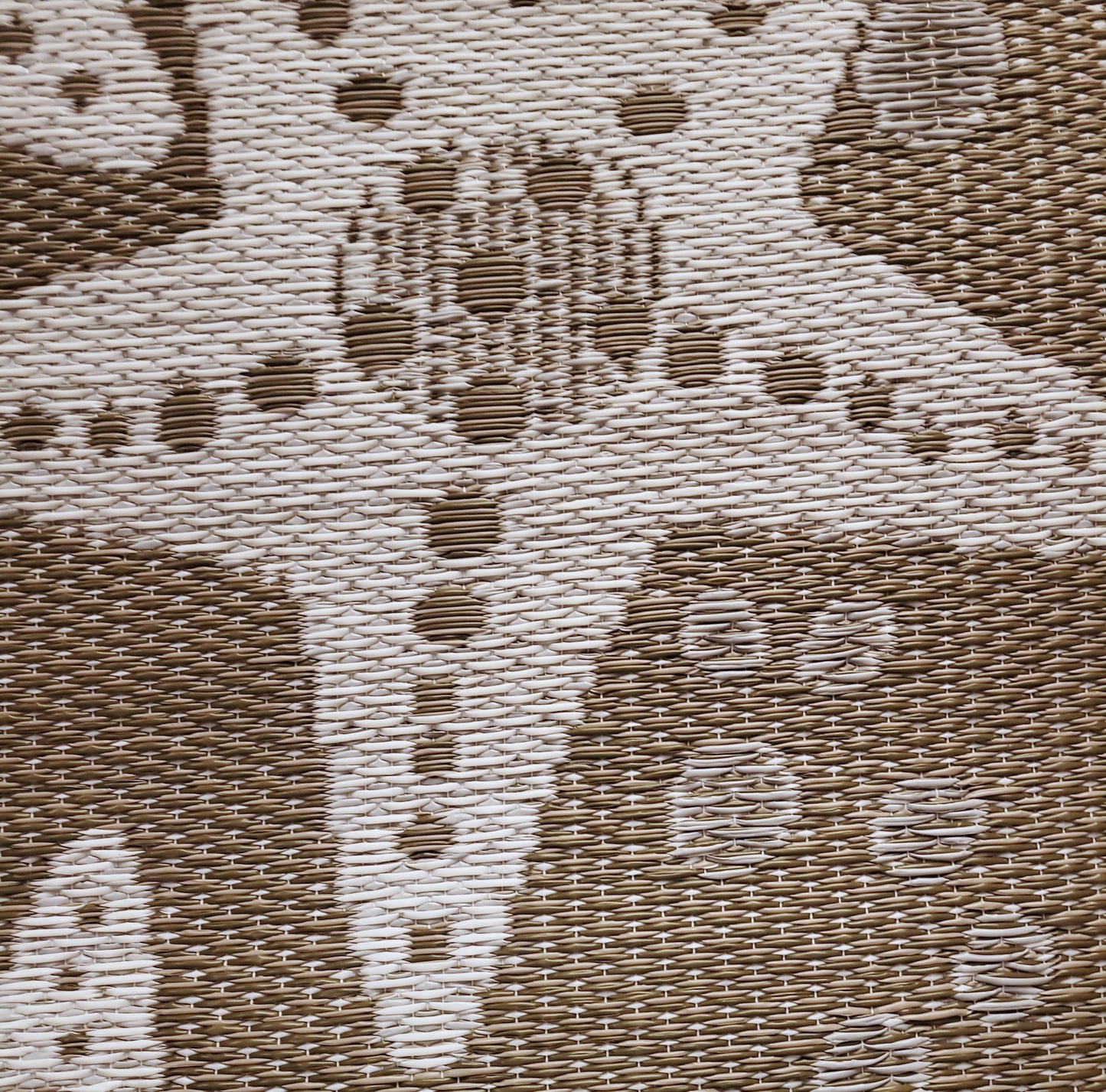 Starfish Modern Taupe