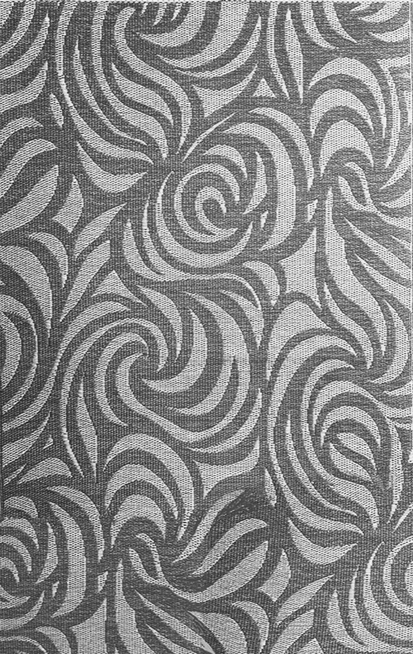 Rose Black & White