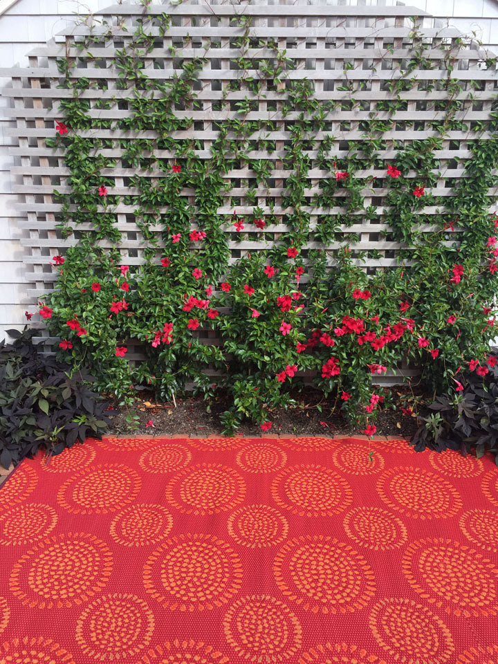 Molly Red Outdoor Mat