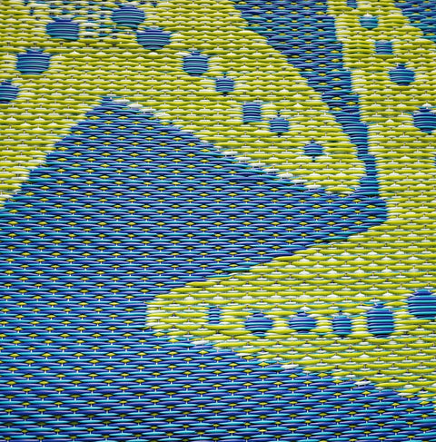Starfish - Blue/Green
